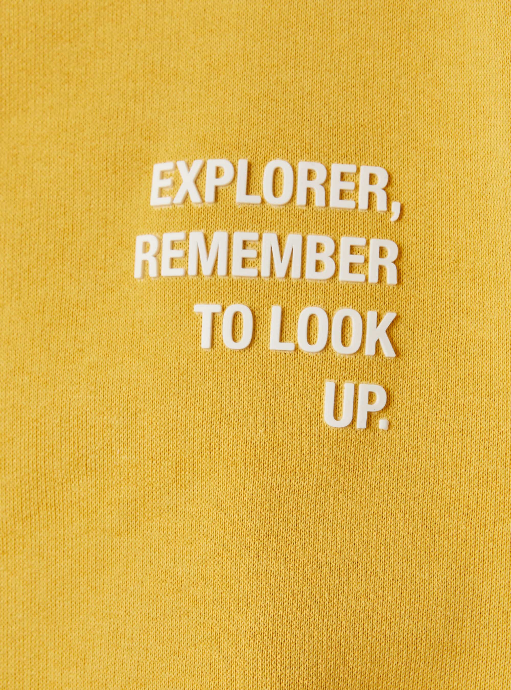 Crew-neck sweatshirt with colourful design - Giallo Mimosa & Nocciola