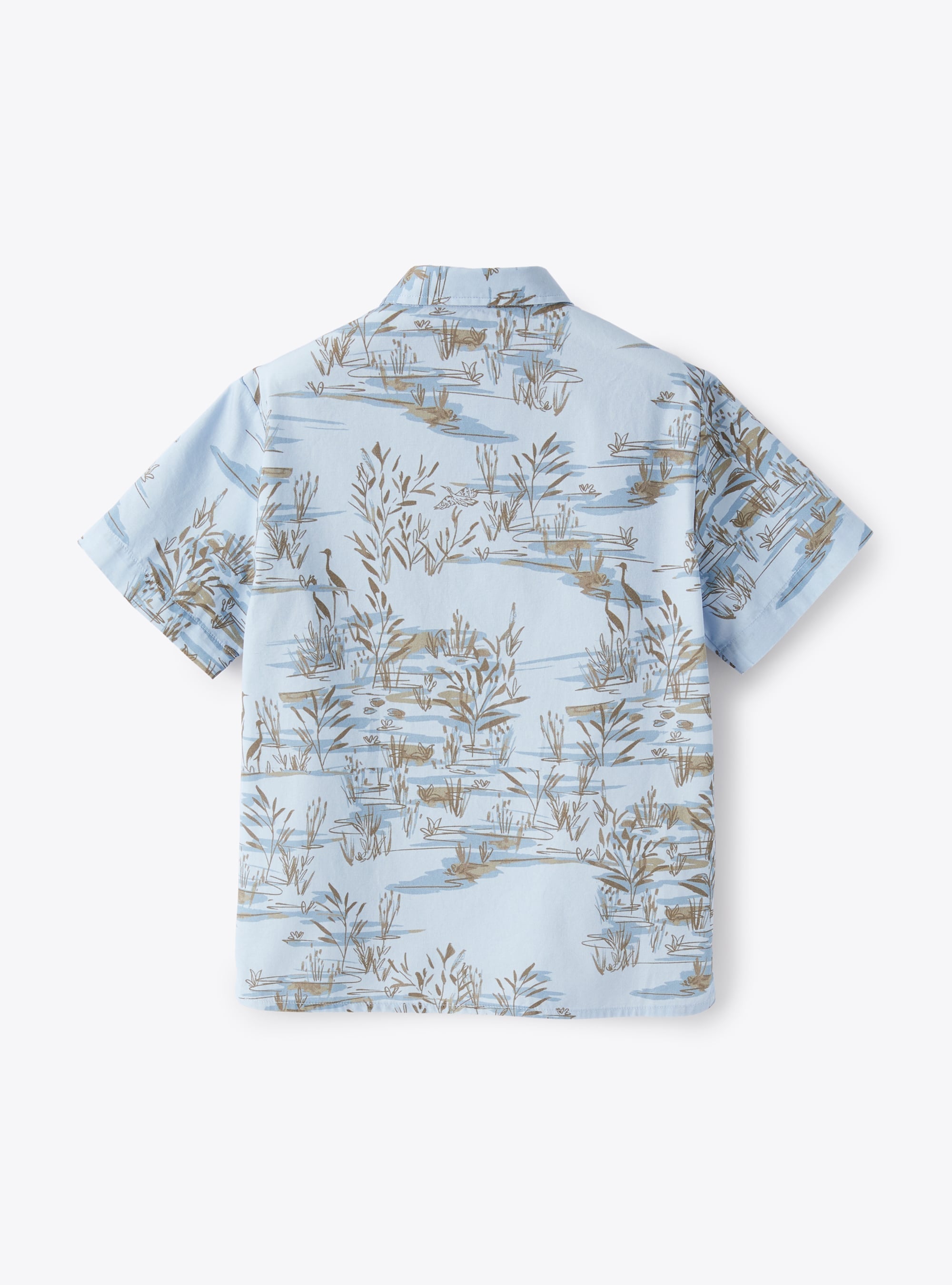 Short-sleeved printed shirt - Powder Blue
