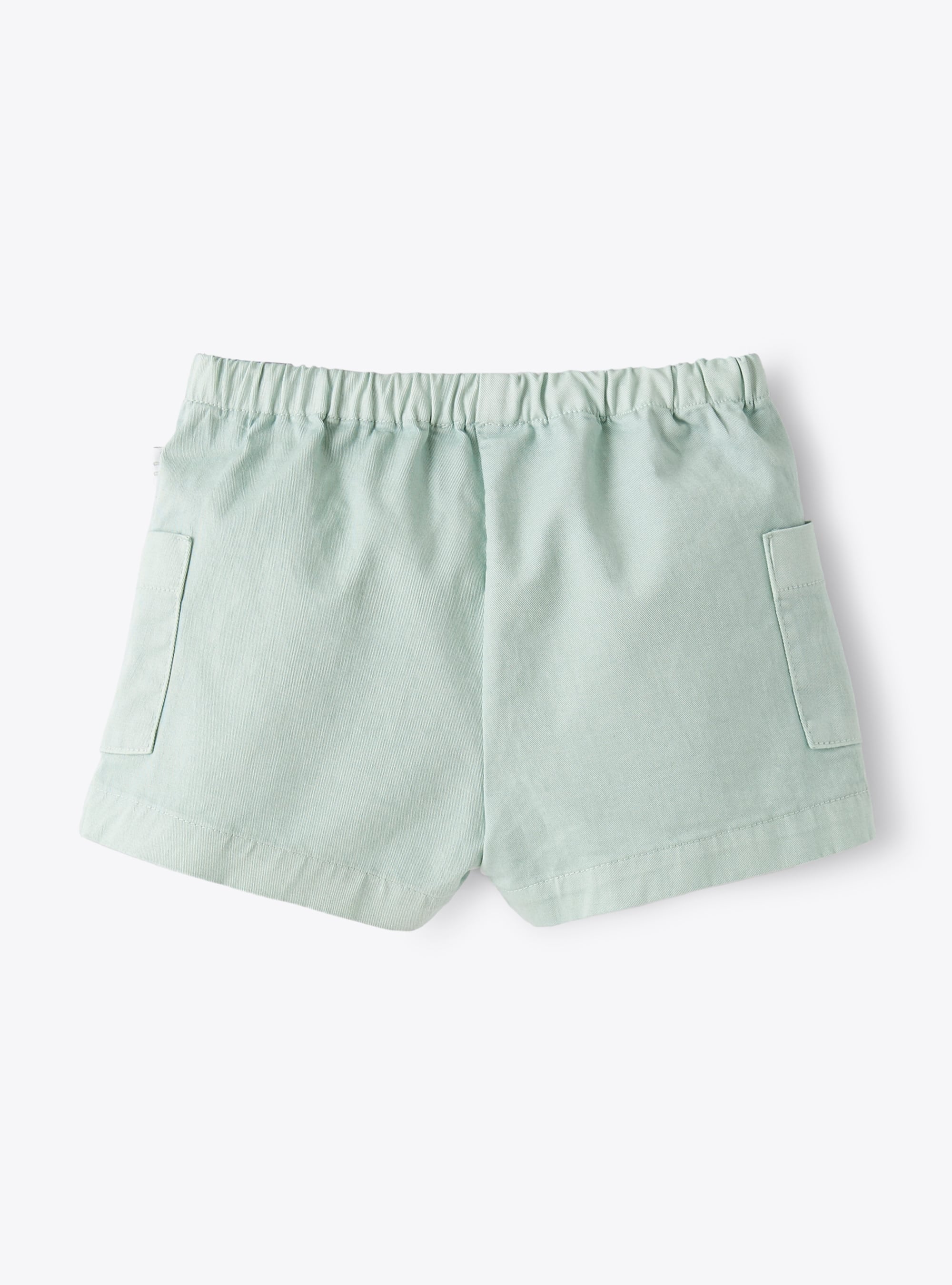 Elasticated waist shorts - Lake