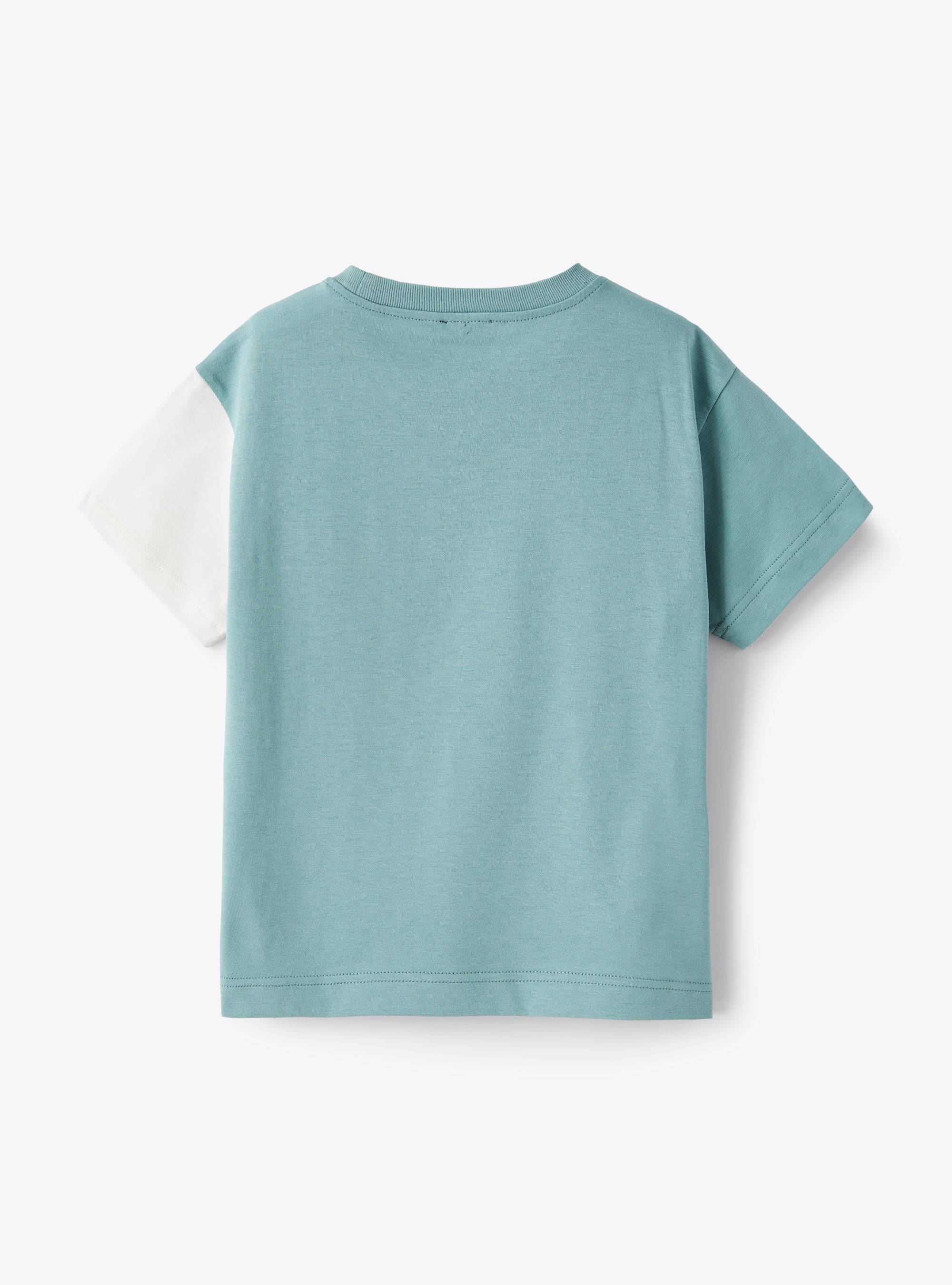 T-shirt with colourful pattern - Blue & Sage Green
