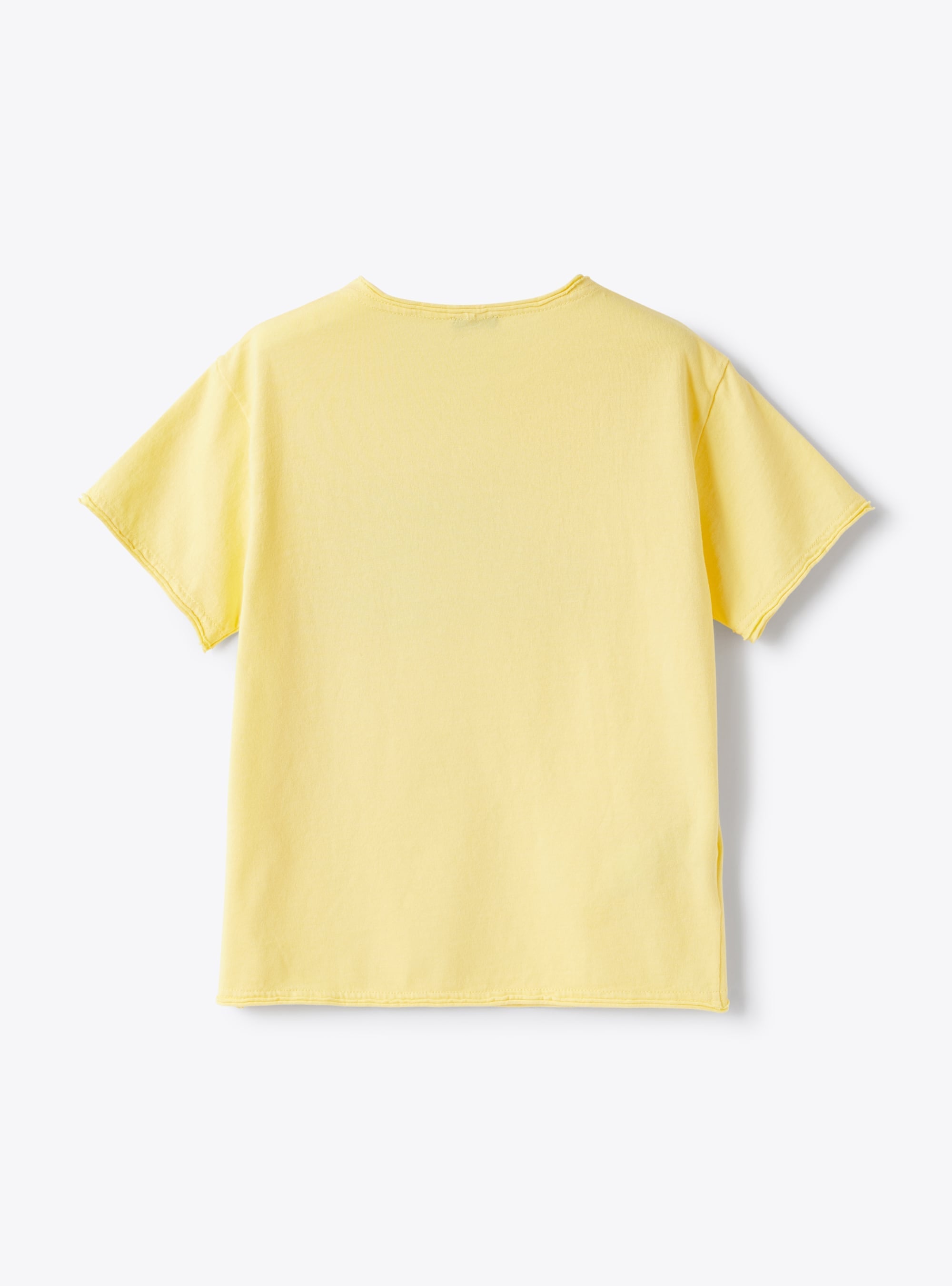 Solution-dyed T-shirt - Chick Yellow & Green