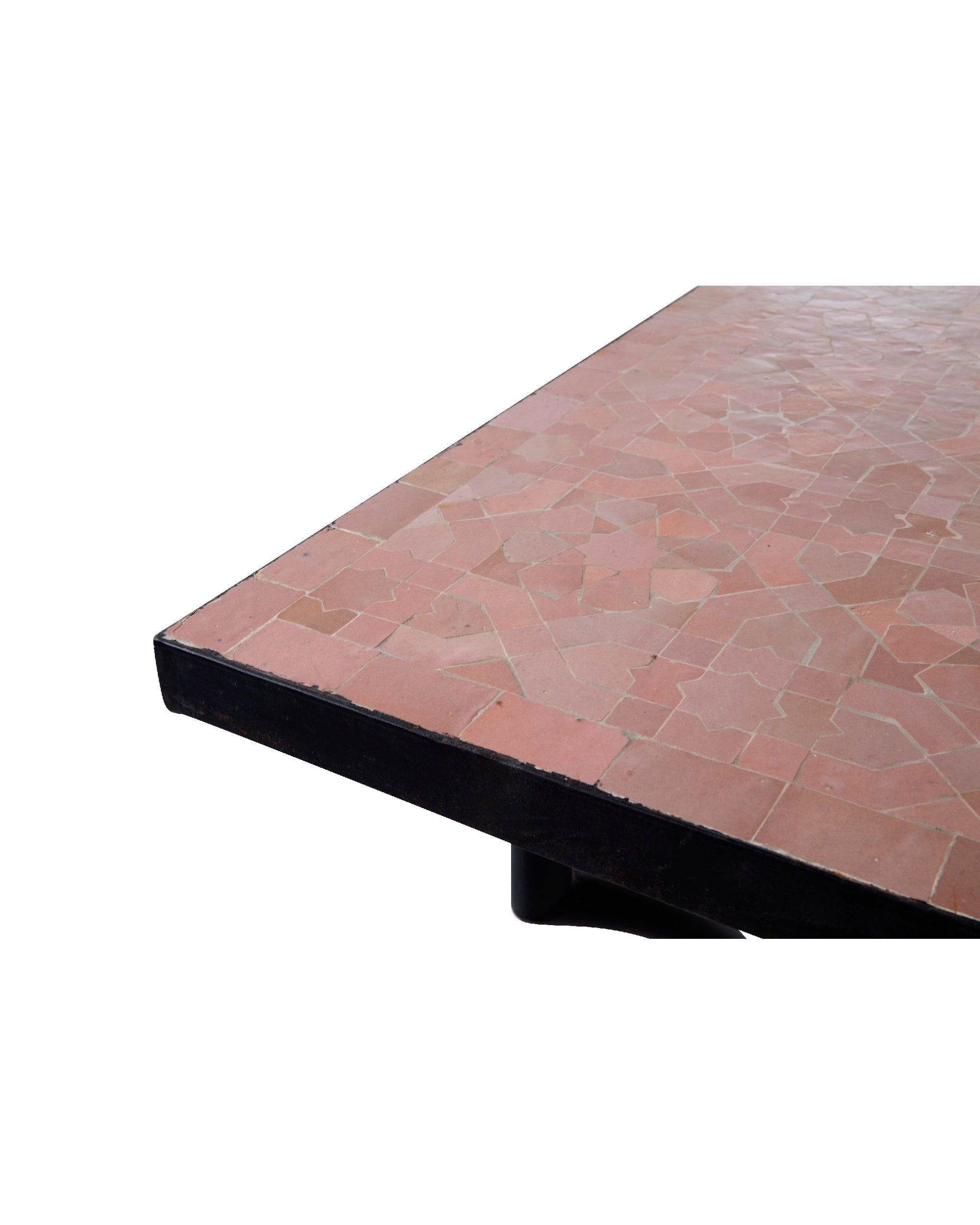 TABLE SAHRA 300X100