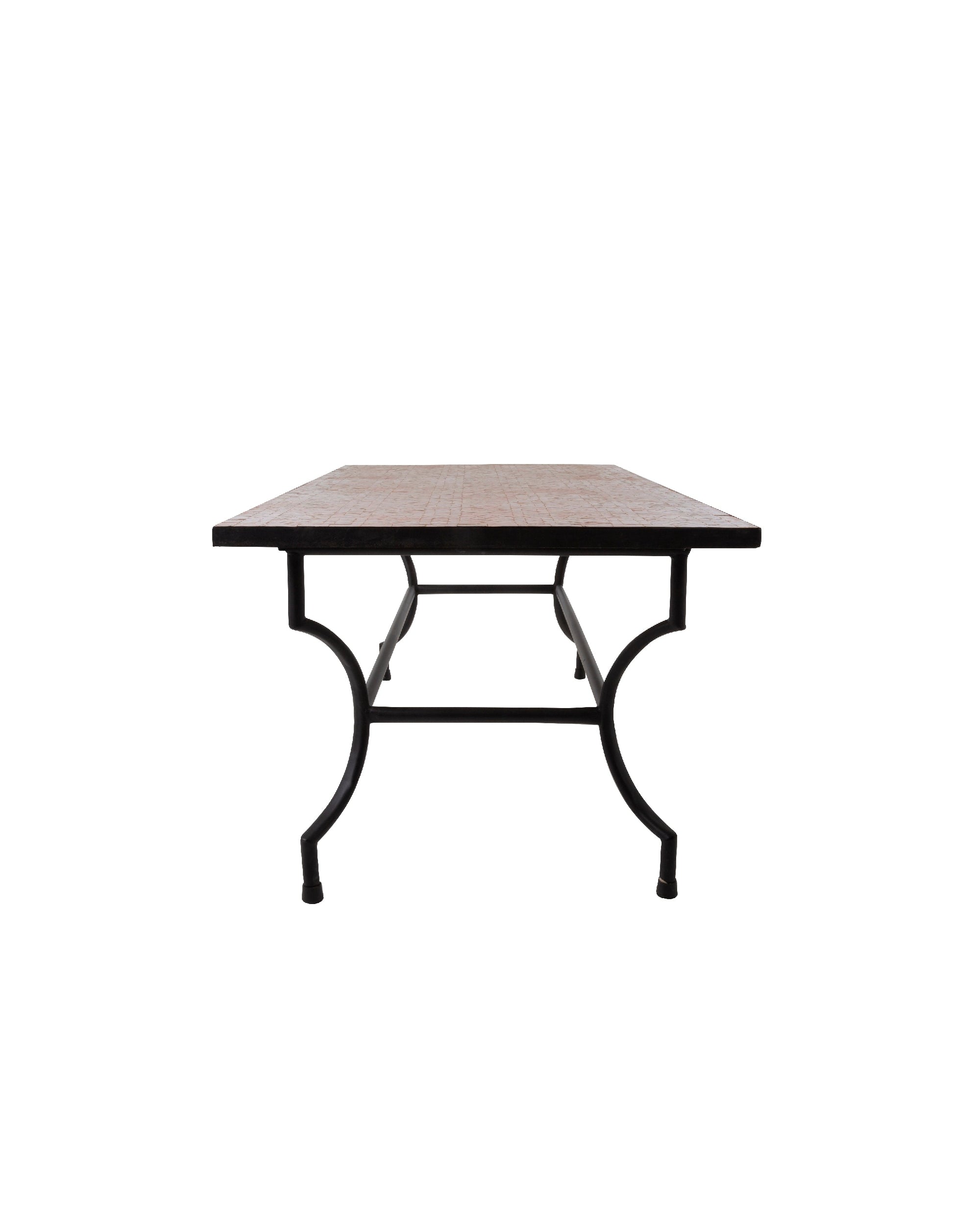 TABLE SAHRA 300X100