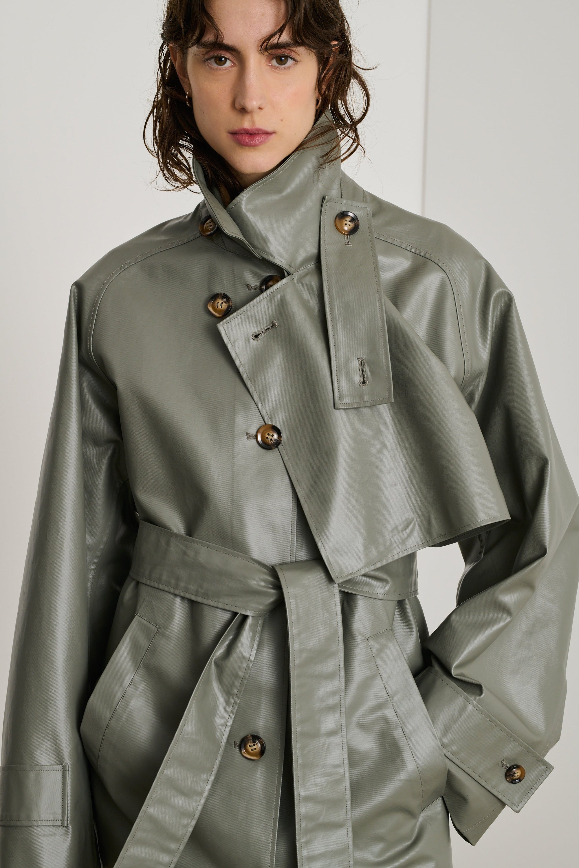 GRIS TRENCH DINO
