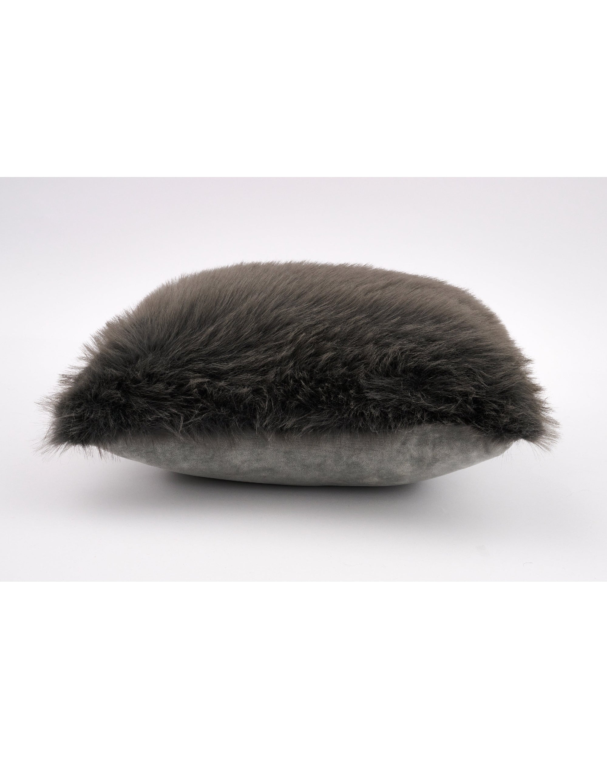 COUSSIN ALLESSINA