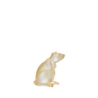 MOTIF RAT LUSTRE OR