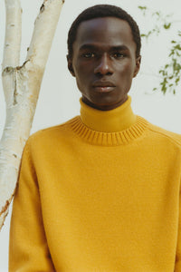 Jermaine Sweater en bouleau doré antilope mérinos fil
