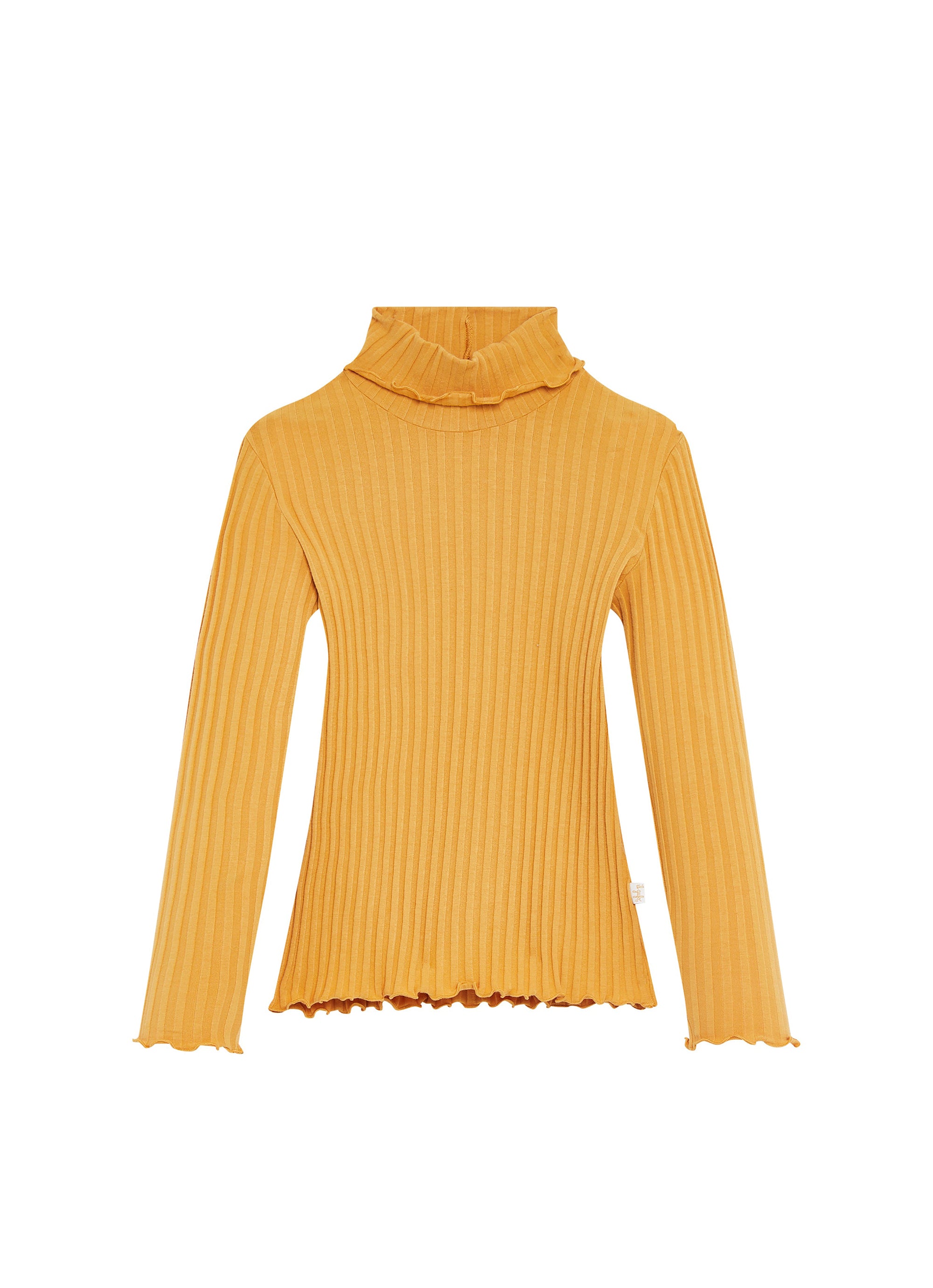 Ribbed turtleneck jumper - Ambra