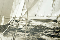 A CADRE THE CANNON RACE II