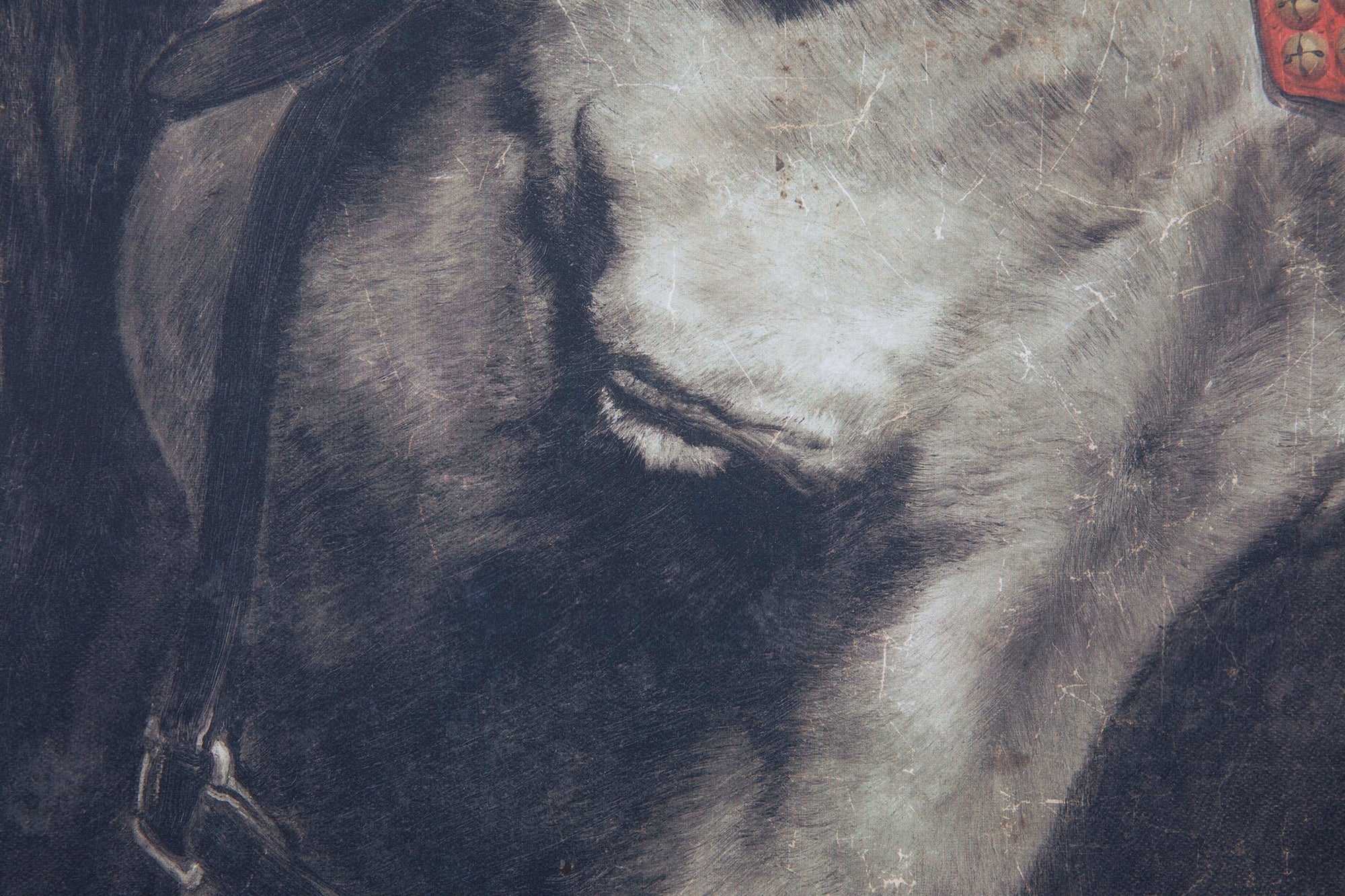 CADRE MYSTIC