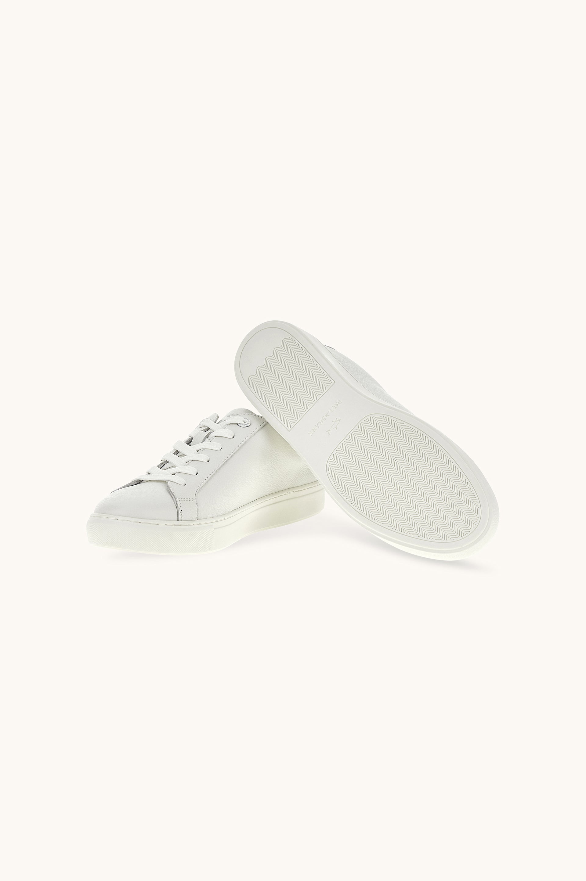 SNEAKE-Sneakers