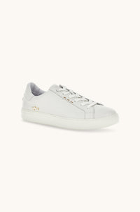 SNEAKE-Sneakers