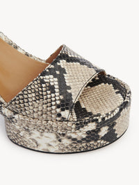 BASEPLUS_Eternal Grey SANDALS - Eternal Grey