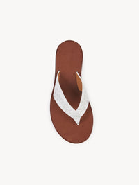 BASEPLUS_Iconic Milk FLAT SANDALS - Iconic Milk