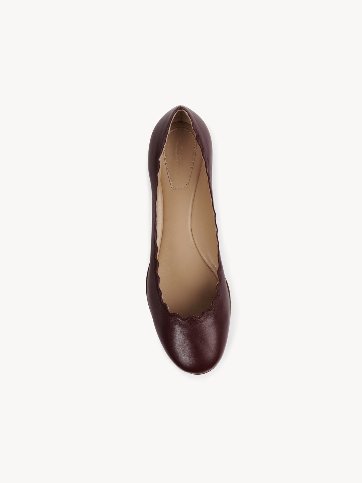 BASEPLUS_Deep Purple BALLERINAS - Deep Purple