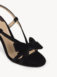 BASEPLUS_Black SANDALS - Black