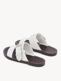 White SLIDES - White