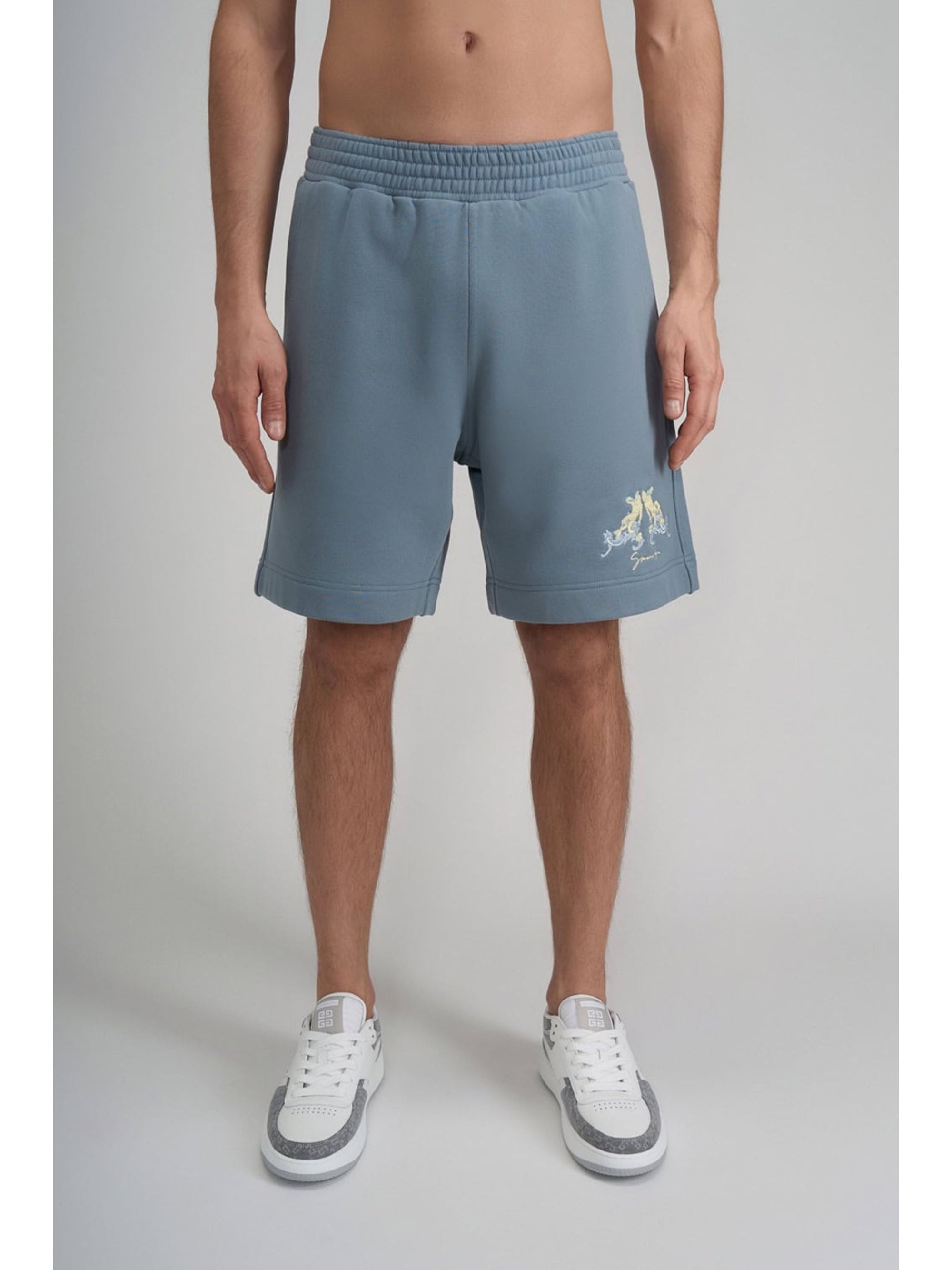 NEW BOARD SHORTS