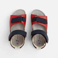 ROUGE/MULTICO SURF BIS