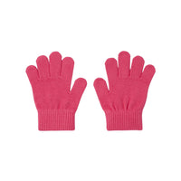 6 QTY / GERANIUM ACCESS GANTS/MOUFLES LABOTER