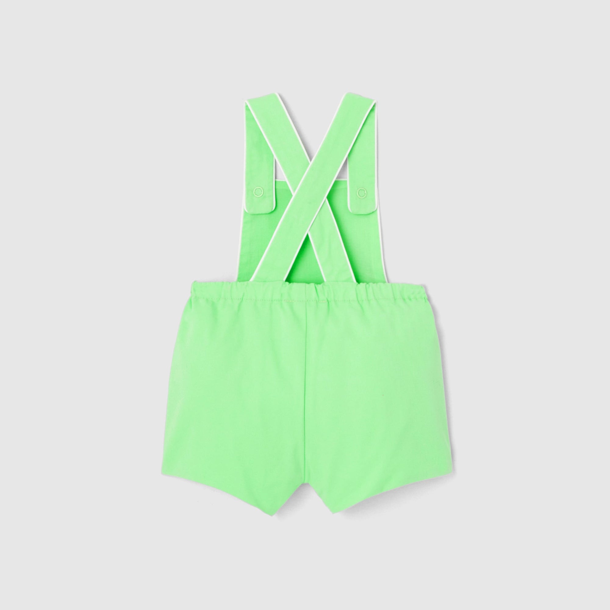 VERT NANTAISE