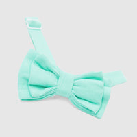 265 QTY / VERT PALE ACCESS CRAVATE/NOEUD PAPILLON FIERROT