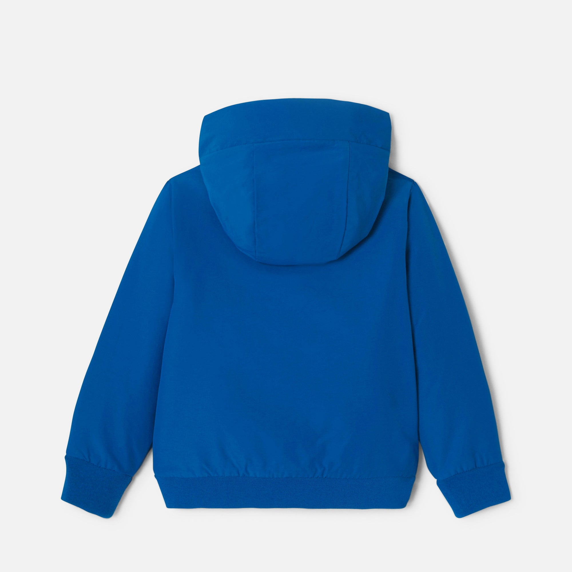 1 QTY / BLEU ROI PAP GROSSE PIECE BISTREBIS