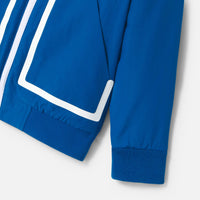 1 QTY / BLEU ROI PAP GROSSE PIECE BISTREBIS