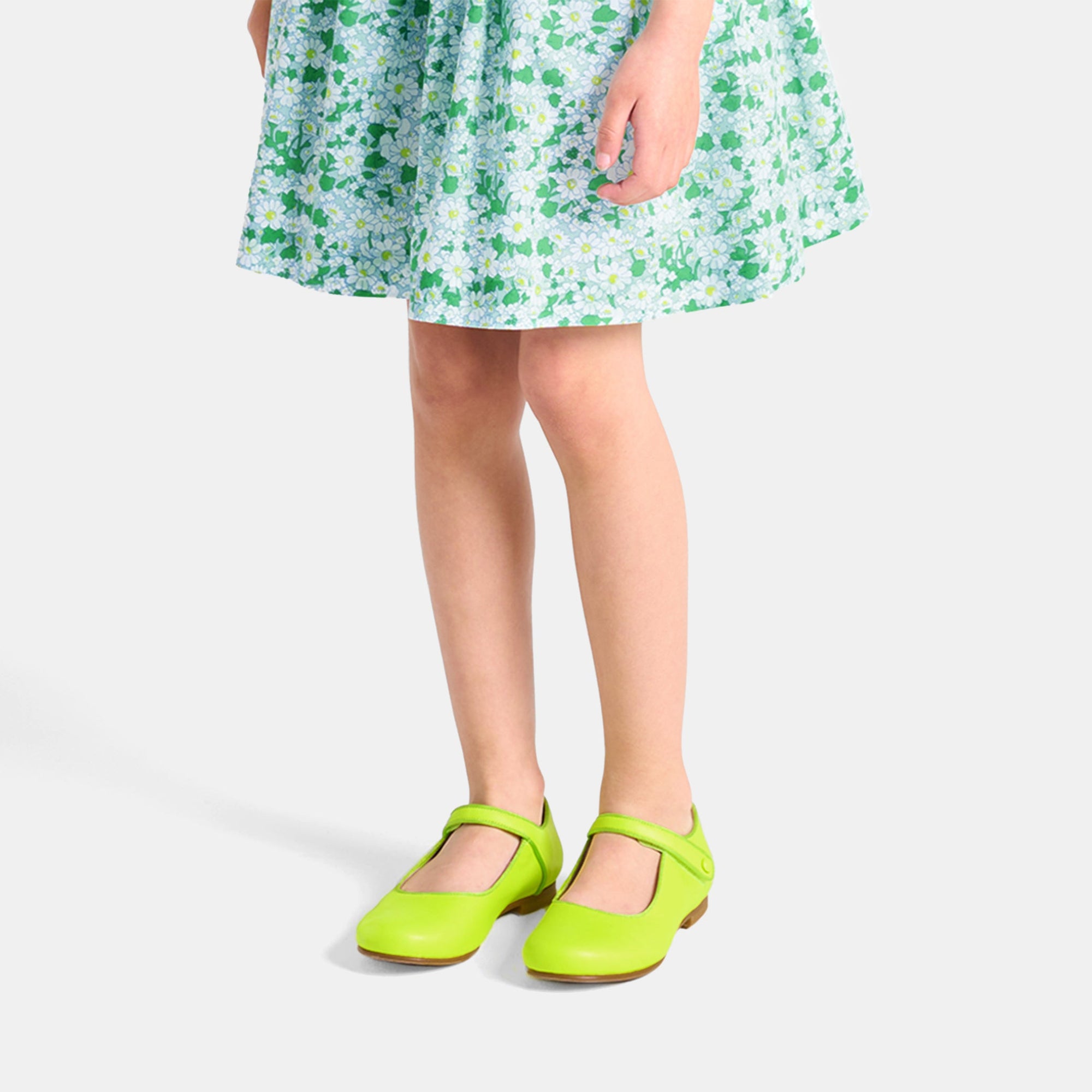 VERT ANIS DANELLE COL