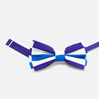 1 QTY / BLEU/MULTICO ACCESS CRAVATE/NOEUD PAPILLON DOUPS
