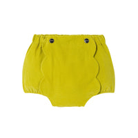 22 QTY / CUMIN PAP SHORT / BERMUDA MADO