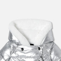 0 QTY / ARGENT PAP GROSSE PIECE MERLETTE