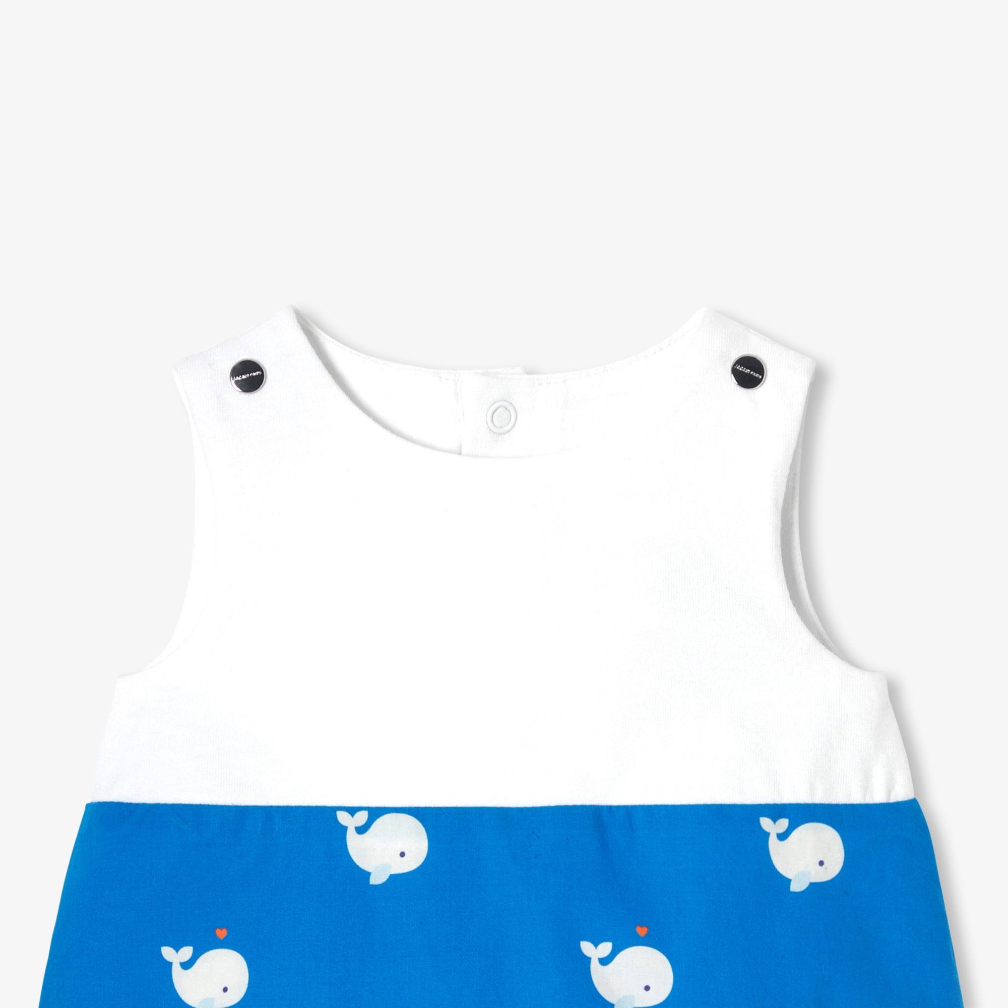 BLANC/BLEU ECRITURE