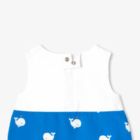 BLANC/BLEU ECRITURE