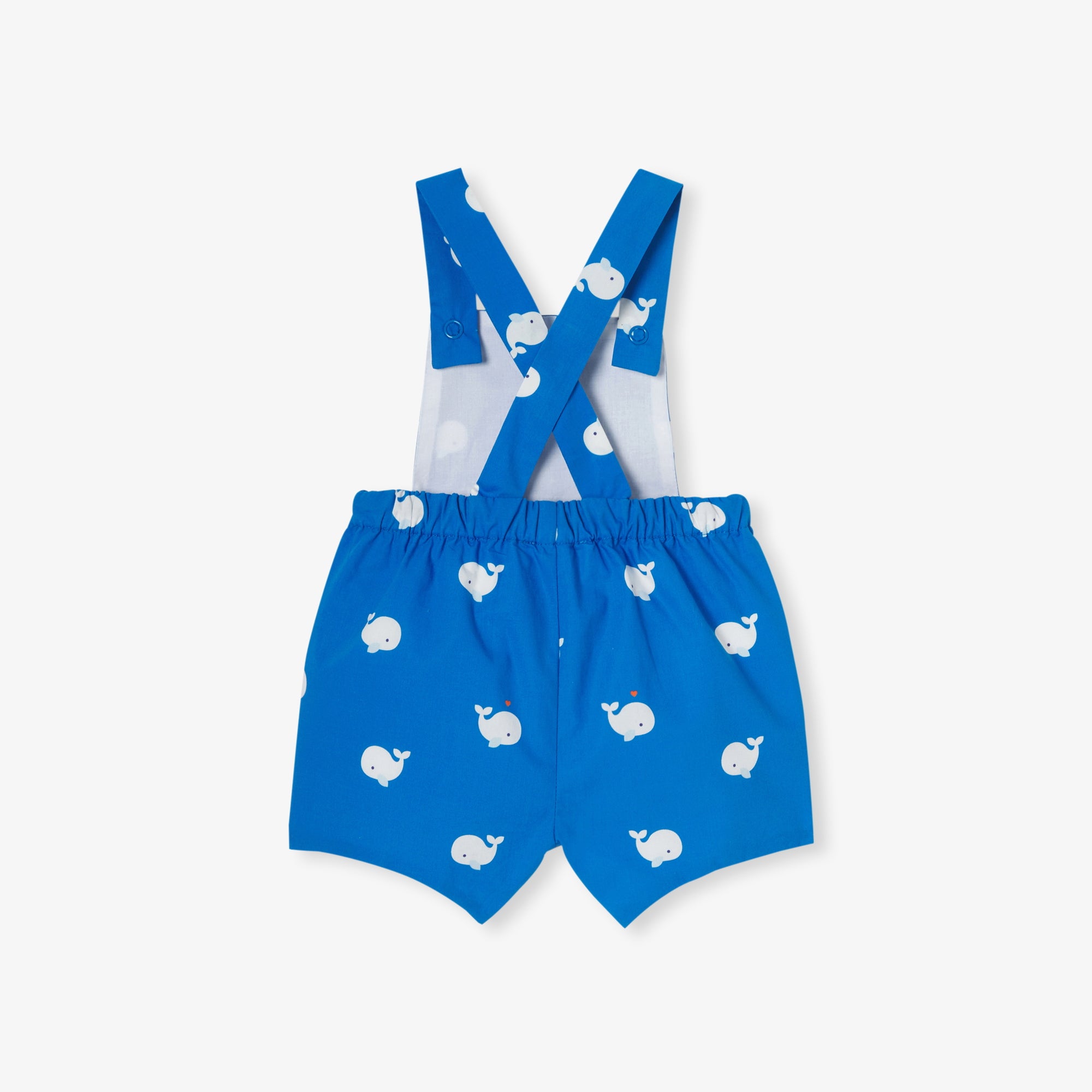 BLEU/MULTICO HERBERT