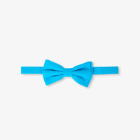 BLEU TURQUOISE PIERRE