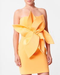 CURCUMA ROBE