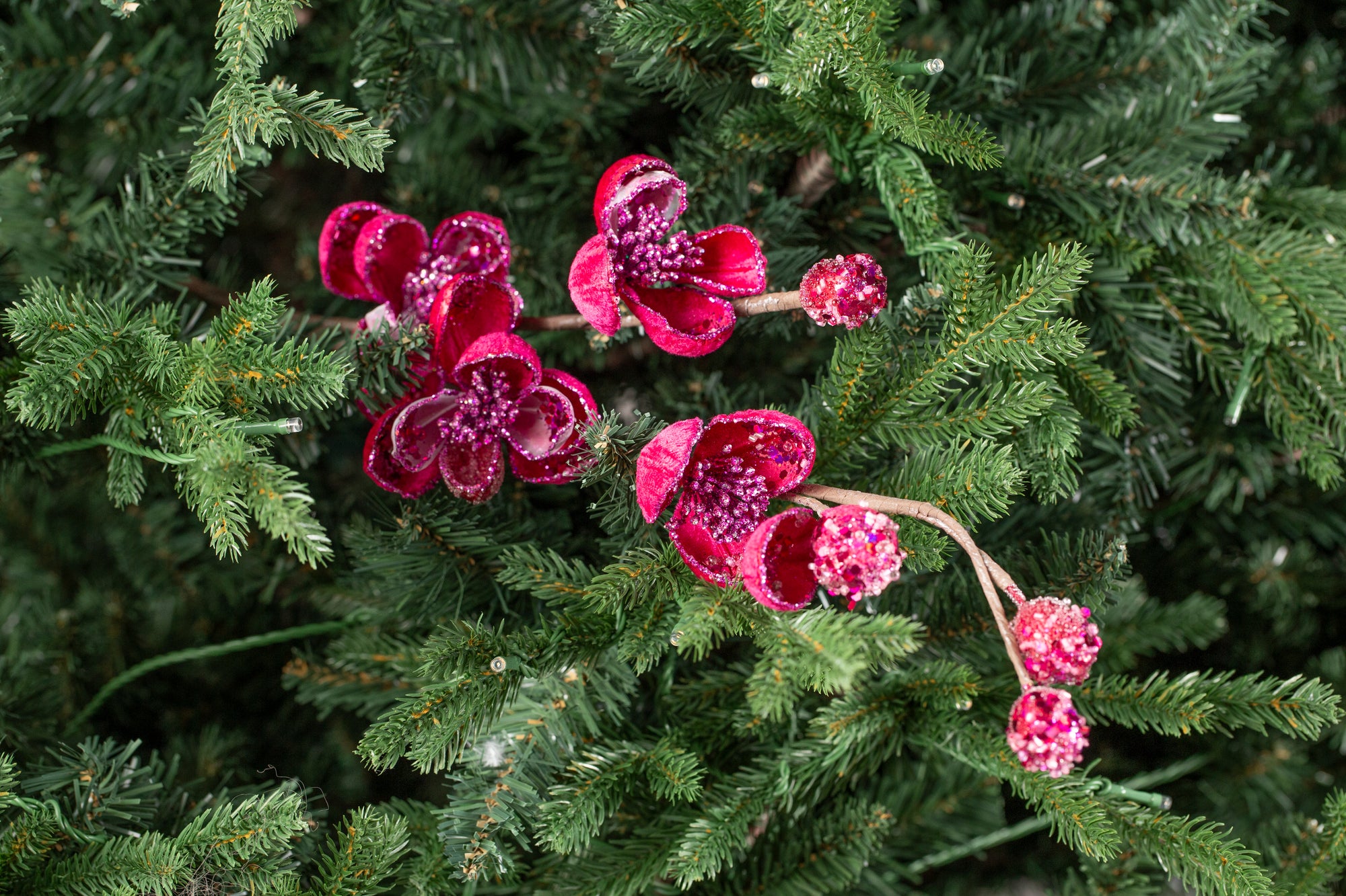 BRANCHE ILINA