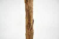 PLANTE BANANA TREE 300CM