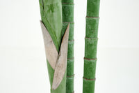 PLANTE ARECA PALM 300CM
