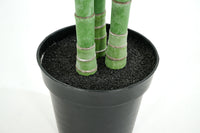 PLANTE ARECA PALM 300CM