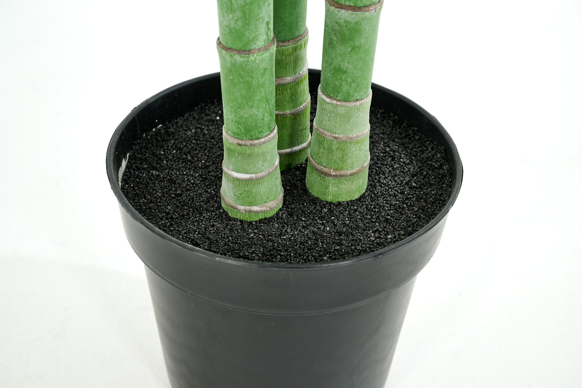 PLANTE ARECA PALM 300CM