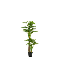 PLANTE MONSTERA PLANT 180CM