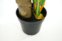 PLANTE MONSTERA PLANT 180CM