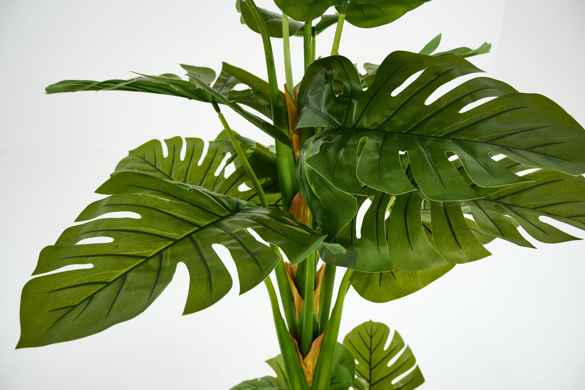 PLANTE MONSTERA PLANT 180CM