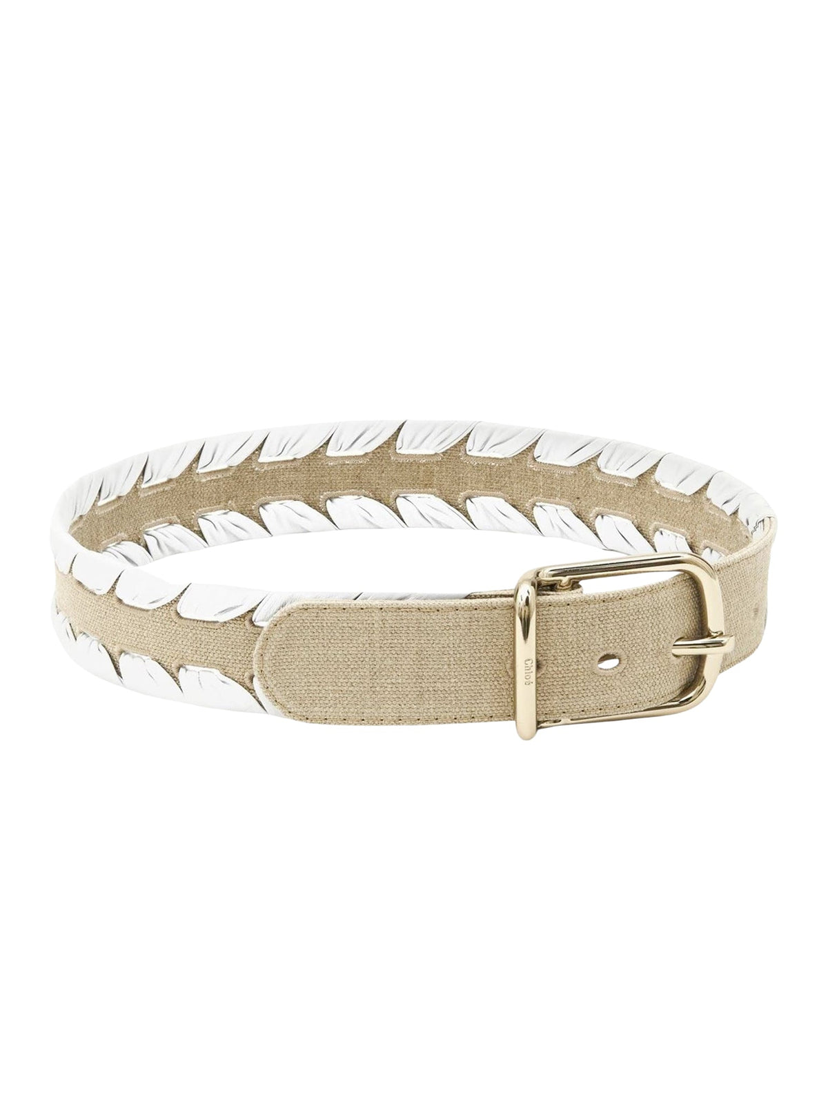 White BELT - White