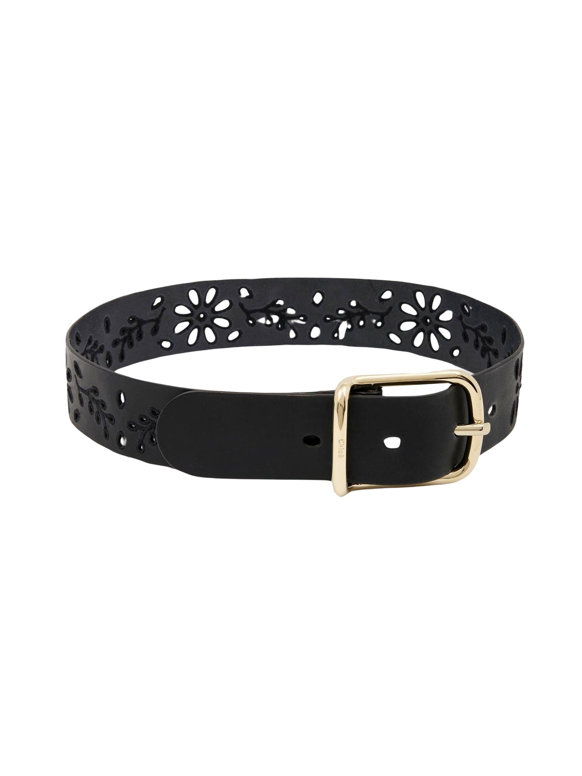Black BELT - Black
