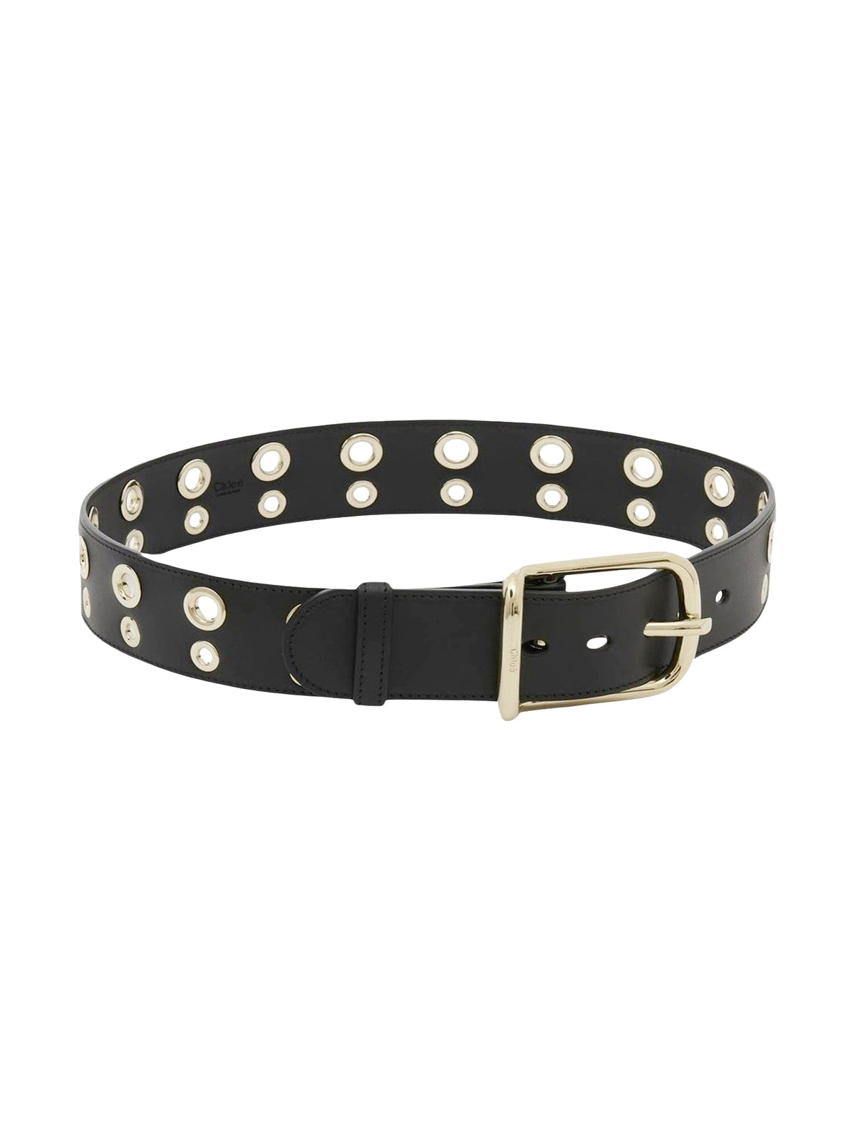 Black BELT - Black