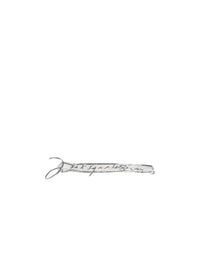 Pince Jacquemus - Silver