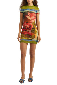 Robe courte imprimée en tulle - Green & Red & Blue